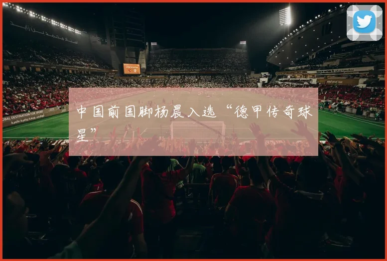 中国前国脚杨晨入选“德甲传奇球星”