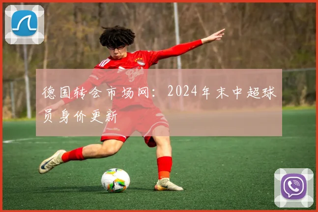 德国转会市场网：2024年末中超球员身价更新