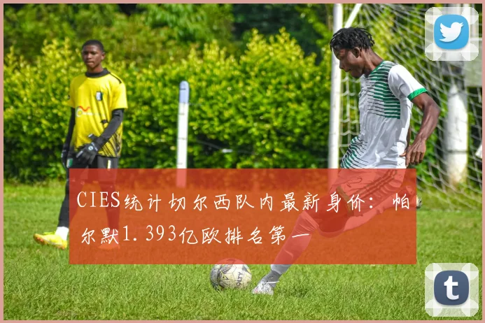 CIES统计切尔西队内最新身价：帕尔默1.393亿欧排名第一